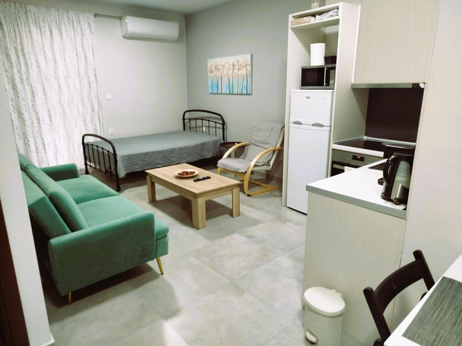 Othonos 10 Str. Apartment. 特里卡拉 外观 照片