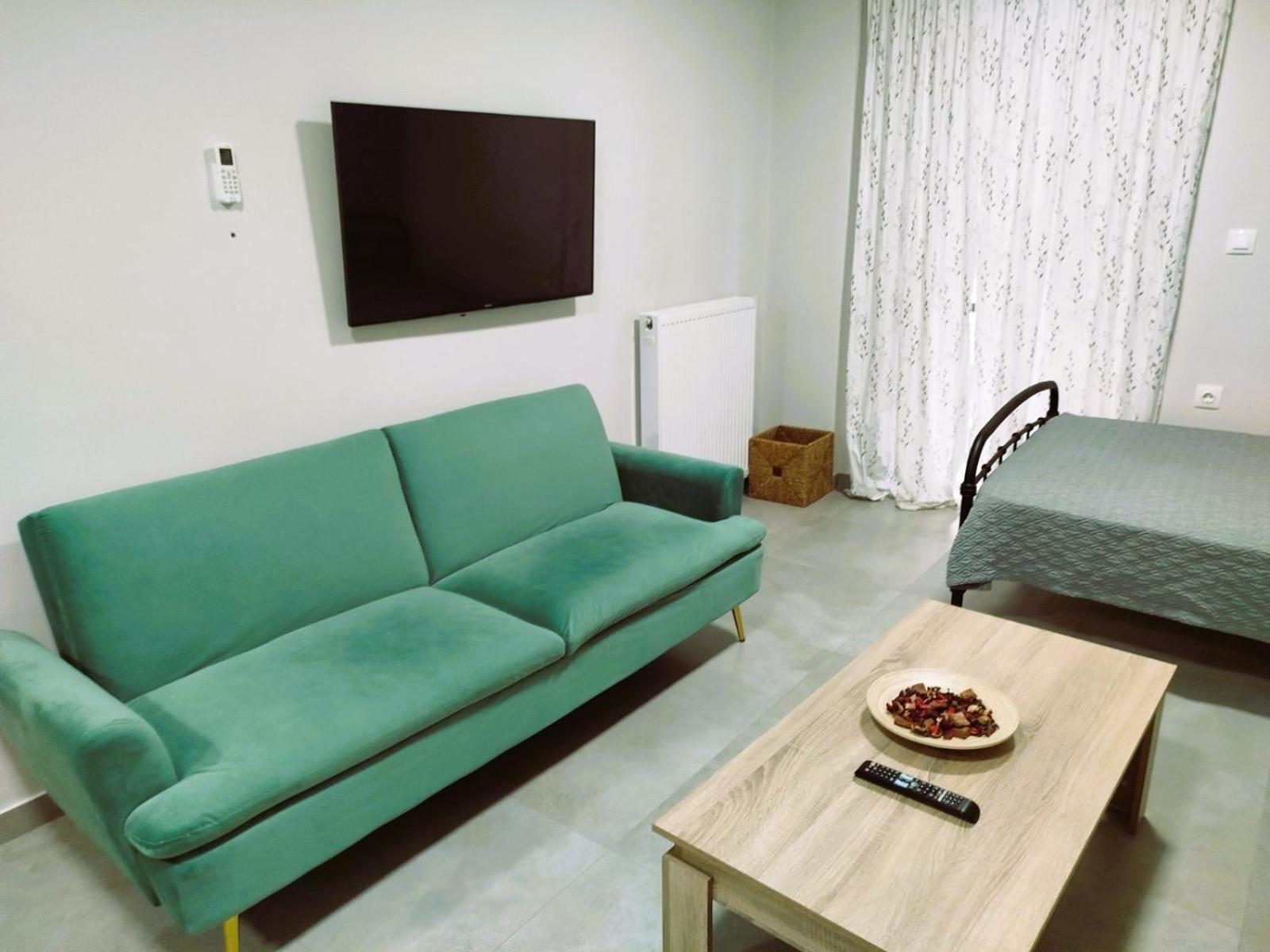 Othonos 10 Str. Apartment. 特里卡拉 外观 照片